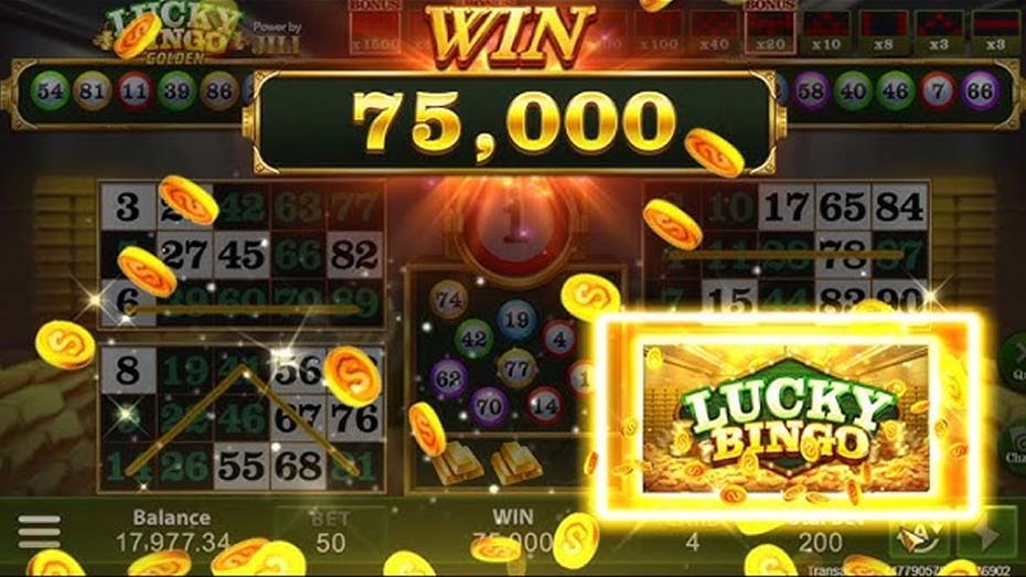 How to Play Lucky Bingo Cricbet99